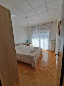 Apartment Piko