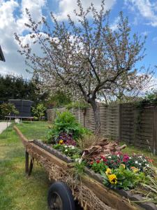 Ferienhaus Frankstraße 5b