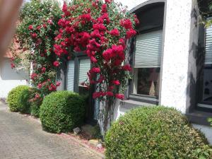 Altstadt-Apartment Petershagen