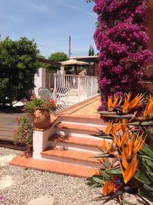 Appartements Rez de Jardin Villa Cagnes Sur Mer. : photos des chambres