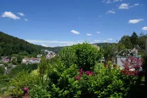 Ferienwohnung Am Wald - Zieflesberg