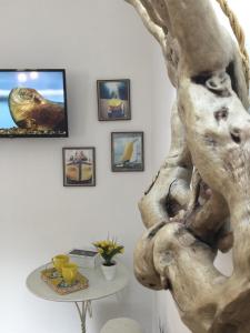 Villa Bouganville img51