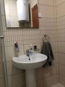 Studio Apartman NENA