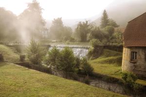 Comtesse de Dordogne