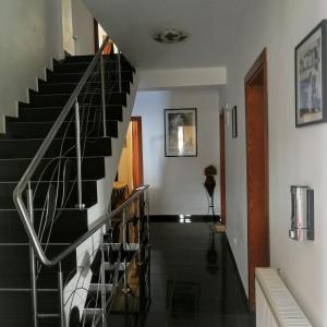 Vila Iulia