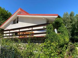 Villa Radunia
