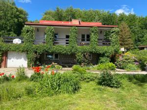 Accommodation in Borzestowska Huta