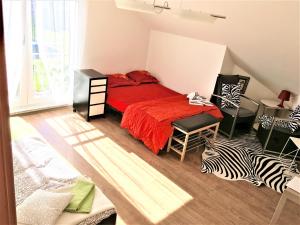 Spacious Apartment 3.5 with Swimmingpool