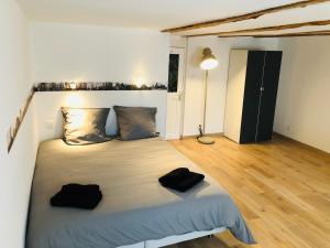 Appartements Aux Colombages Turckheim - 10 min Colmar : photos des chambres