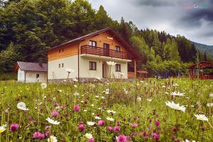 Pensiunea Floare de Colt