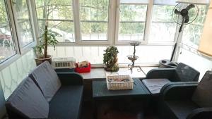 Квартира новая