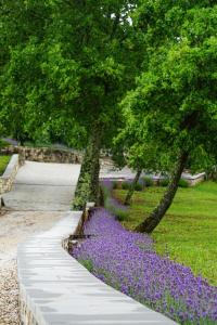 Rooms Stancija Ruseti 