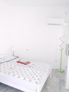 Cricket Park Hostel