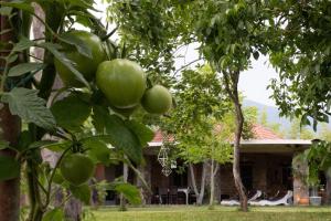 Sinanis Garden House Pelion Greece