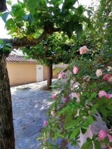 Maisons de vacances Campotel Du Jaur : photos des chambres