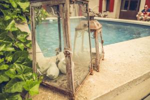 B&B / Chambres d'hotes CHAMBRES D'HOTES L'Oreliane en Provence Adults Only : photos des chambres