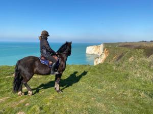 B&B / Chambres d'hotes Domaine Equestre Etretat : photos des chambres