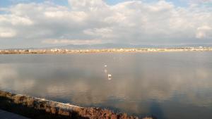 Mistral Sardegna img15