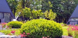 Zen Garden Resort, Zánka