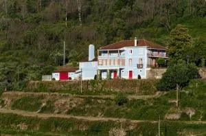 Quinta da Tapada - Avô