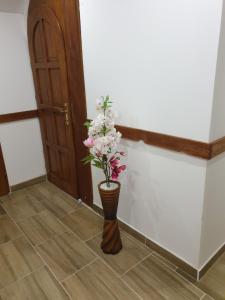 Gesztenye apartman
