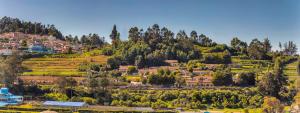 Club Mahindra Derby Green, Ooty