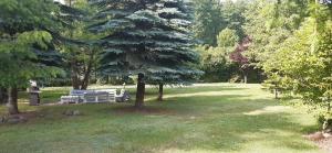 Dom Wakacyjny Myśliborka