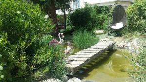 Aux Roses de l'Etang photo 15