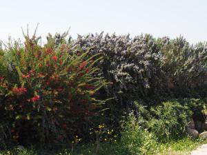 Stazzu Giasti Agriturismo img61