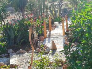 Olive Branch El Chorro