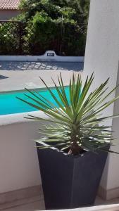 Villa Nevir - with private swimming pool