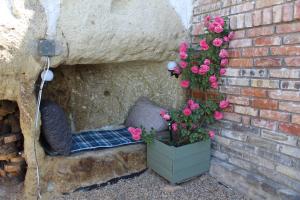 Kakukkfu Barlang-Vendeghaz