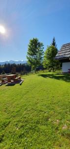 Holiday house Žvan na Pokljuki