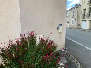 Sejours chez l'habitant Maison Piscine Angers : photos des chambres