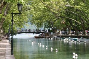 Appartements Villa Camilia - 2 rooms balcony garage in downtown Annecy : photos des chambres