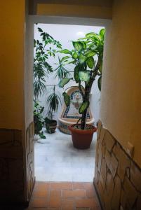 Hostal Costa De La Luz