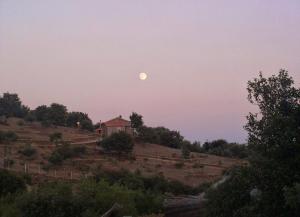 Toumba Eco Farm Guesthouses Lesvos Greece