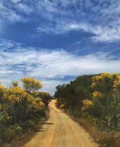 Toumba Eco Farm Guesthouses Lesvos Greece