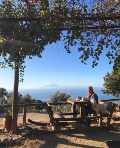 Toumba Eco Farm Guesthouses Lesvos Greece