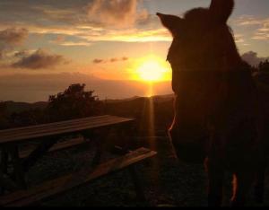 Toumba Eco Farm Guesthouses Lesvos Greece