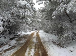 Toumba Eco Farm Guesthouses Lesvos Greece