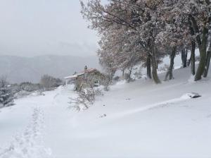 Toumba Eco Farm Guesthouses Lesvos Greece