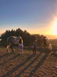 Toumba Eco Farm Guesthouses Lesvos Greece