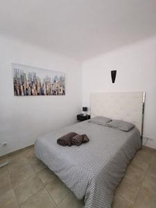 Flor da Beira Apartments ou Paraiso Sol Da Rocha