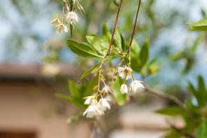 SLEEP TIGHT at Chumphon