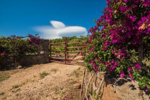 Sa tanca 'e Pedduzza img18