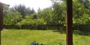 Białowieża Spanie na sianie Puszcza Białowieska