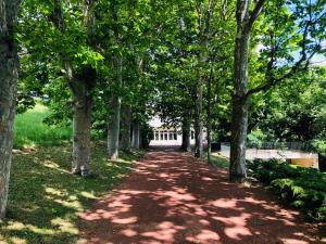 Maisons de vacances La Souveraine : photos des chambres