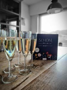 Panoramablick Willingen Schwalefeld