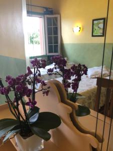 Mas de la Montille photo 18